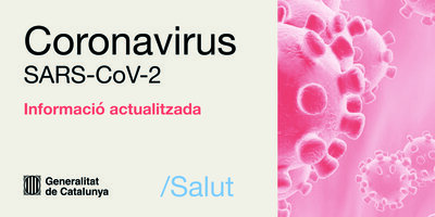 imatge coronavirus