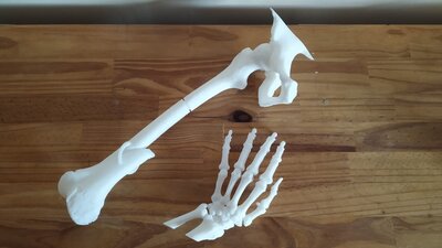 Ossos impresos amb la impressora 3D
