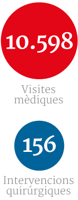 activitat-mutual-i-privada-grafic-dreta-1